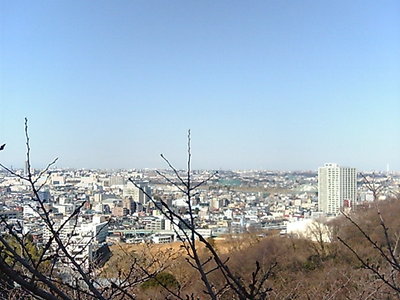 枡形山の展望台